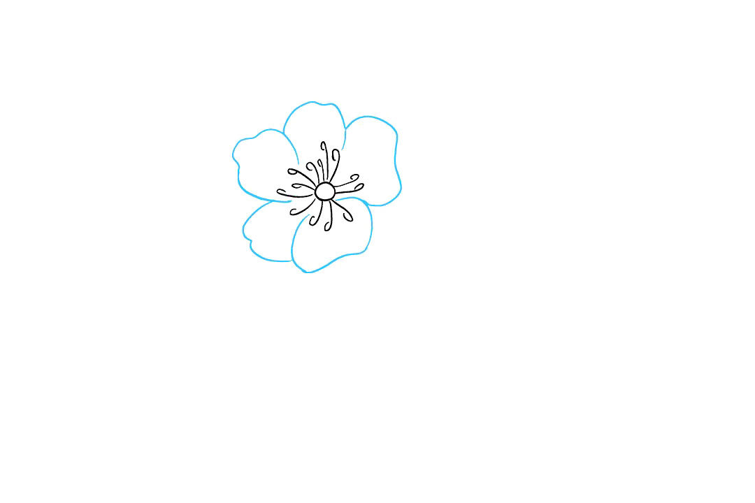 牡丹花怎么画