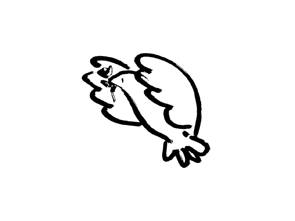 鸽子简笔画图片