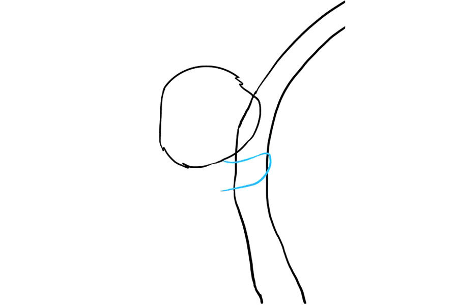 如何画考拉