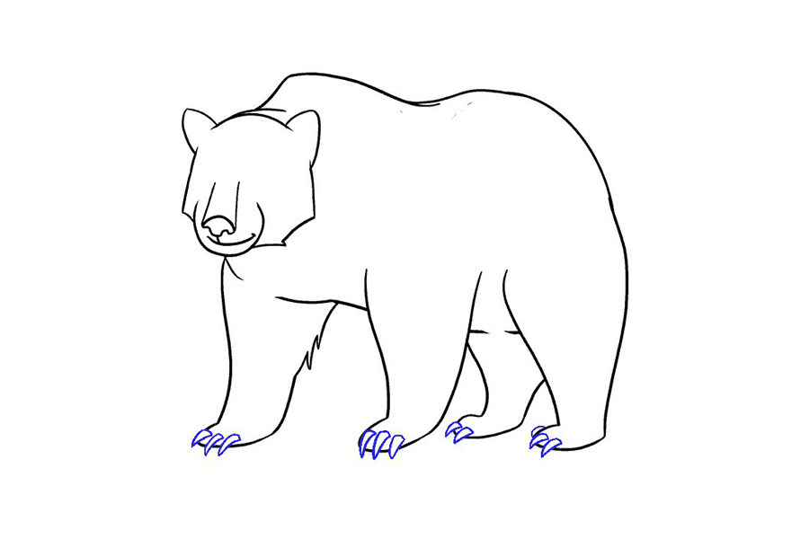 如何画棕熊