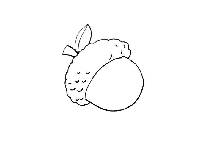 橡果简笔画画法步骤