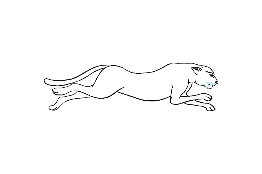 如何画猎豹