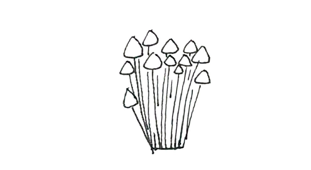 金针菇简笔画怎么画