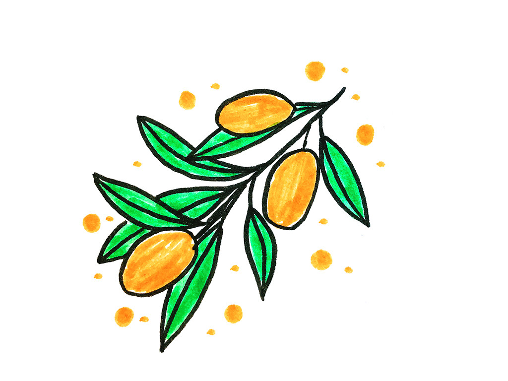 一组漂亮的水果简笔画