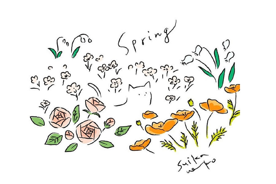 猫咪与花儿简笔画图片