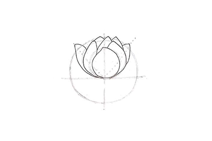 莲花花朵简笔画画法步骤