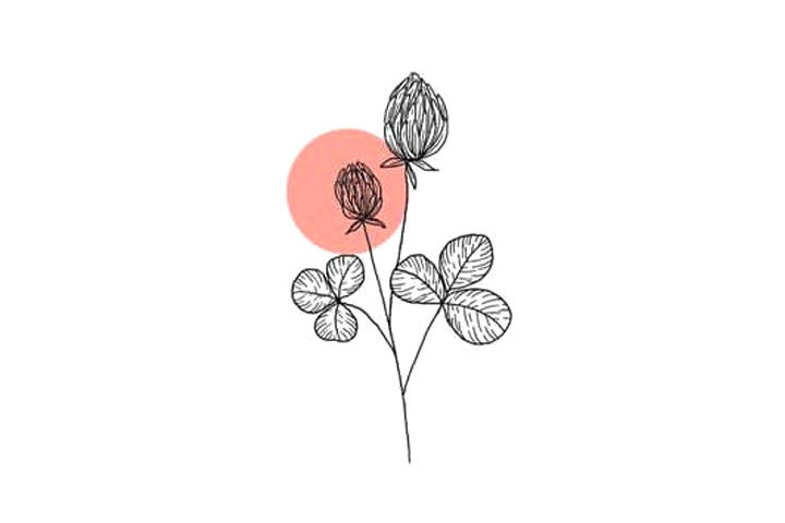植物花草简笔画漂亮的小花简笔画图片