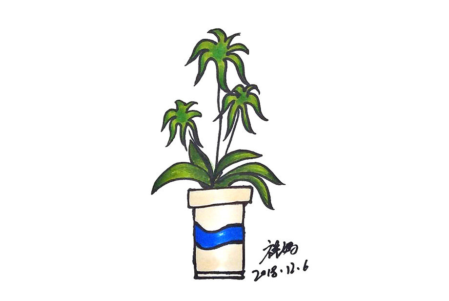 漂亮的植物盆栽简笔画
