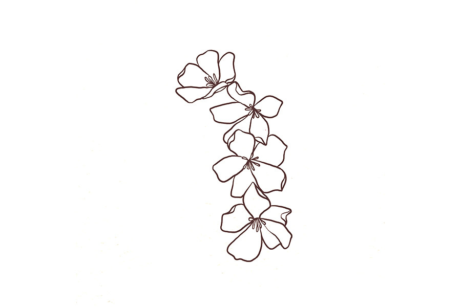 一串小花花简笔画画法教程