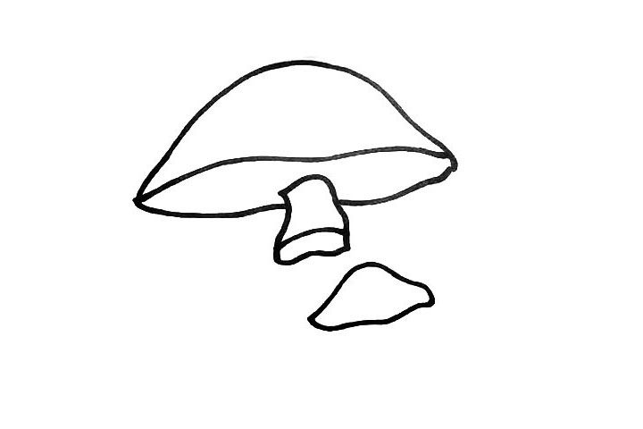 漂亮的蘑菇简笔画画法步骤