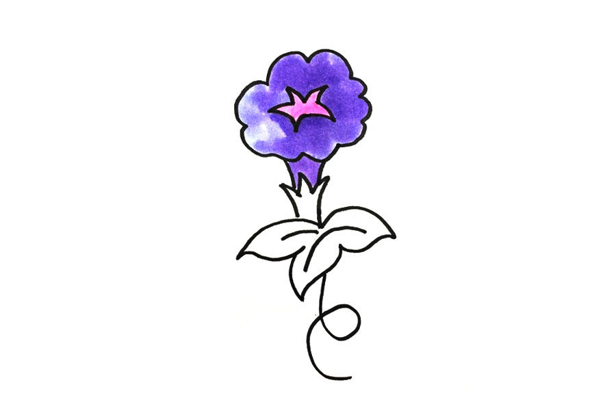 简笔画牵牛花的画法步骤