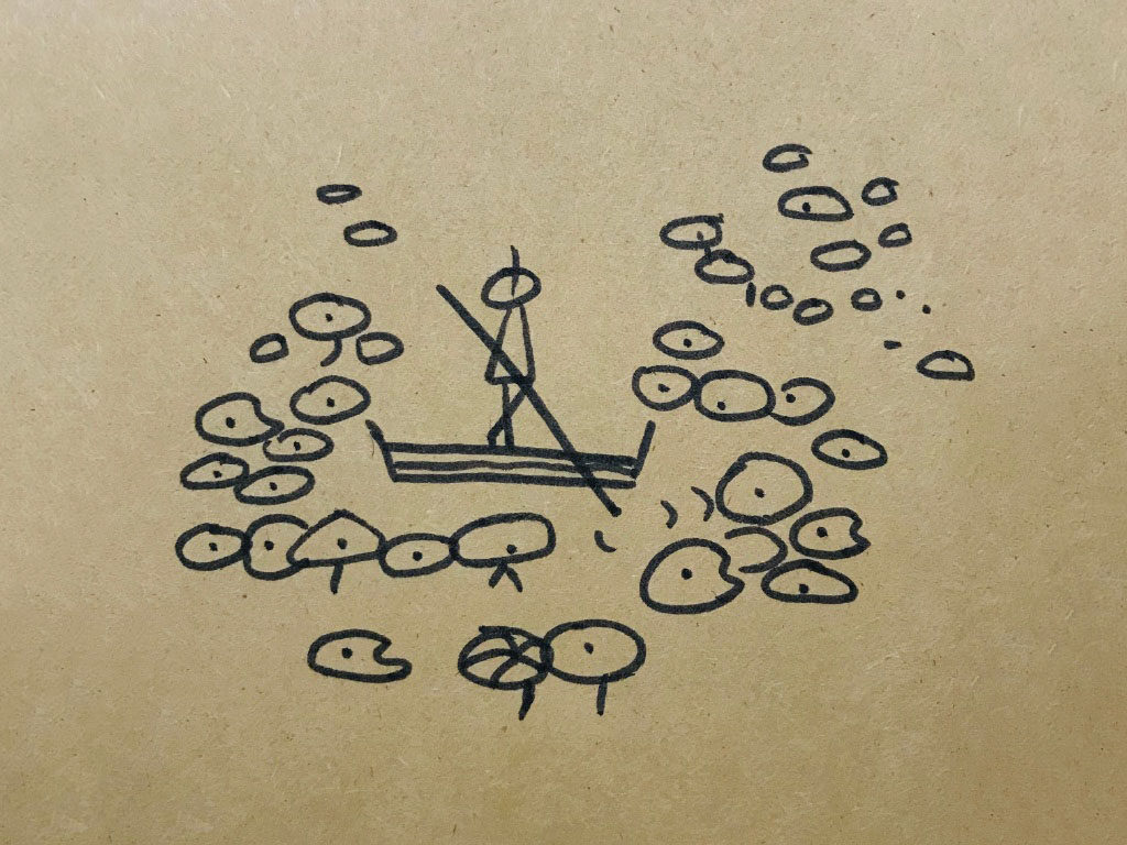 荷叶风景简笔画图片