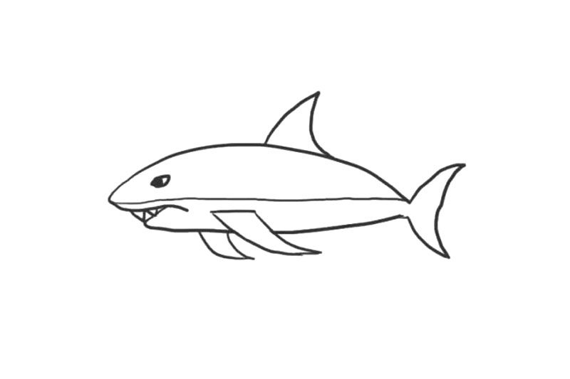 海洋生物鲨鱼简笔画画法步骤
