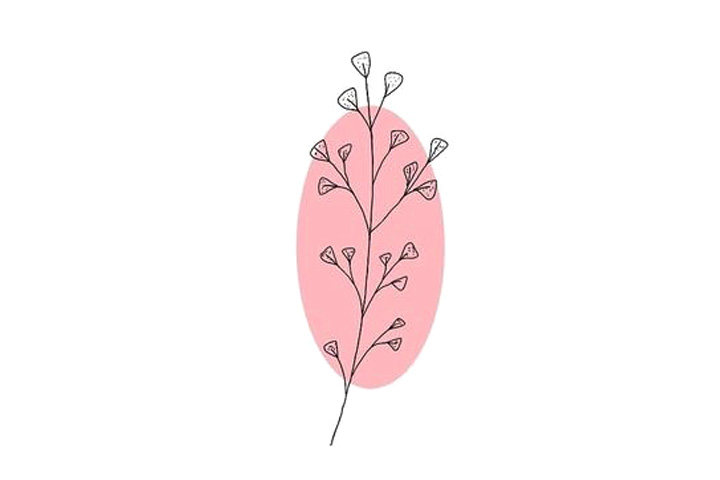 植物花草简笔画12种漂亮的小草简笔画图片