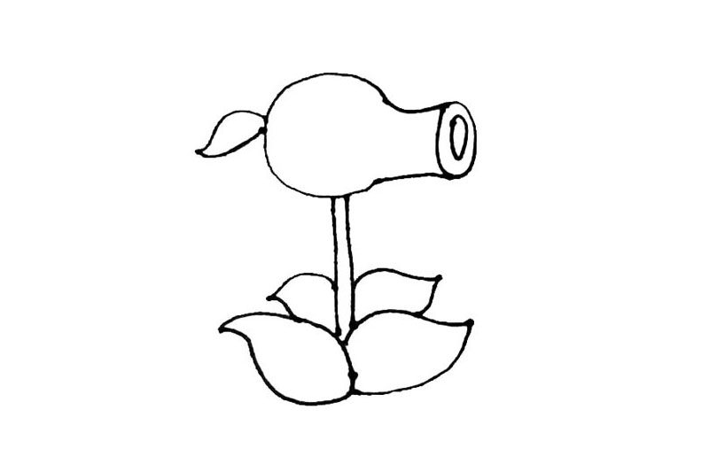 豌豆射手简笔画画法步骤