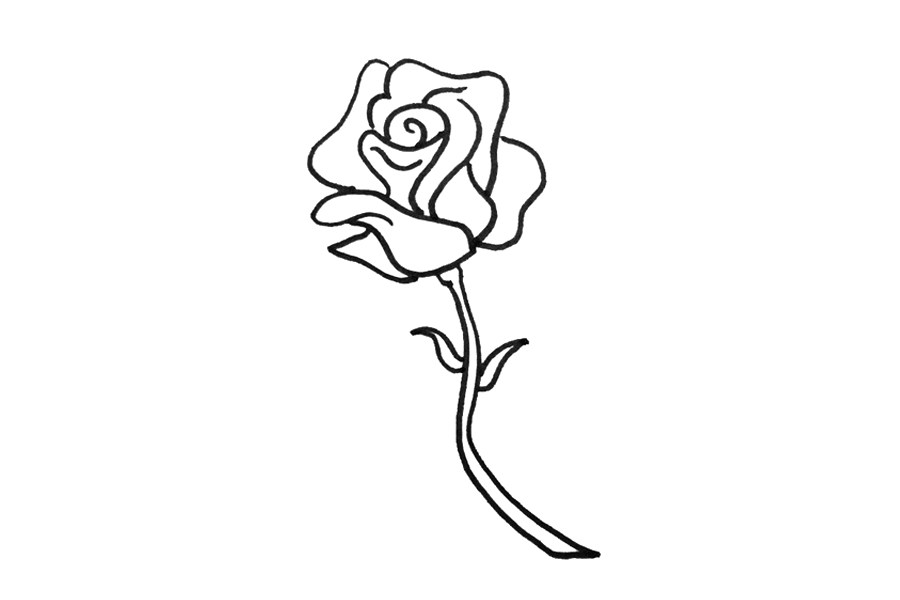 蔷薇花简笔画画法步骤