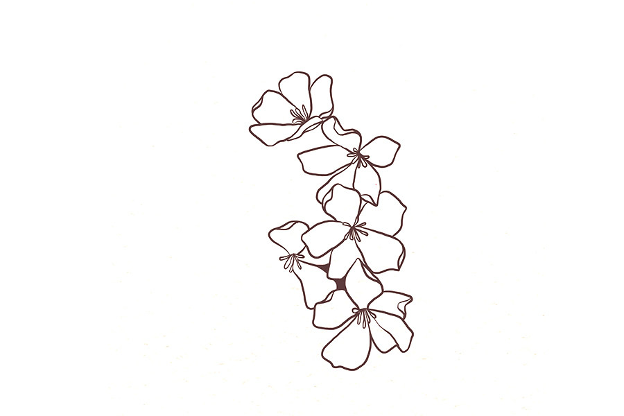 一串小花花简笔画画法教程