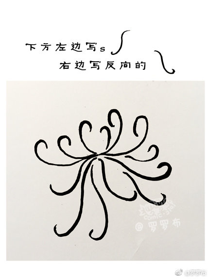 菊花简笔画画法步骤