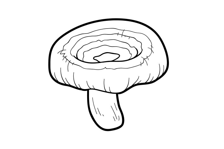 各种野生菌的画法