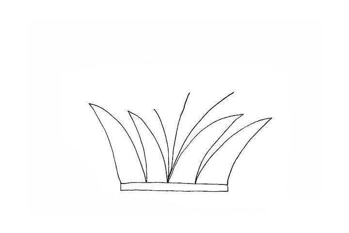 芦苇简笔画画法步骤