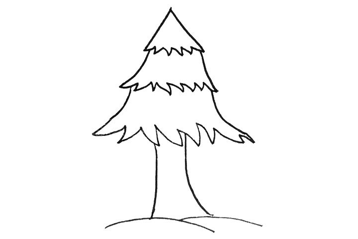 松树简笔画画法步骤