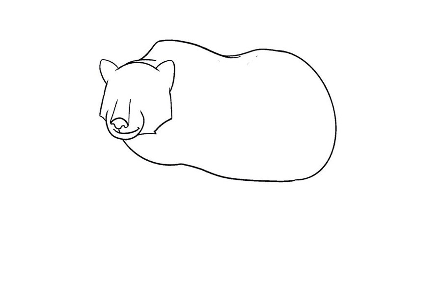 如何画棕熊