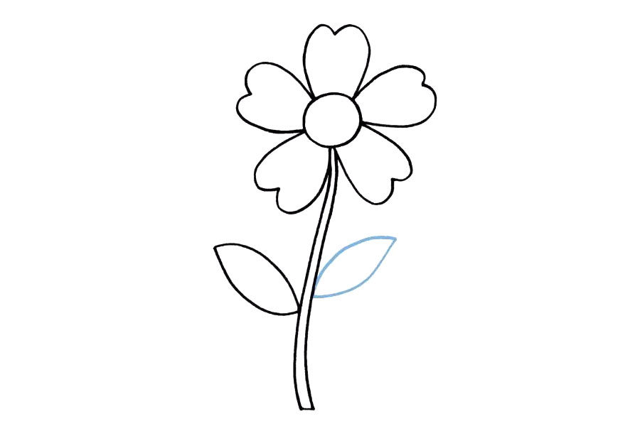 简单的五瓣花怎么画