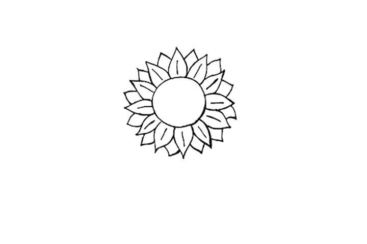 向日葵简笔画画法图解