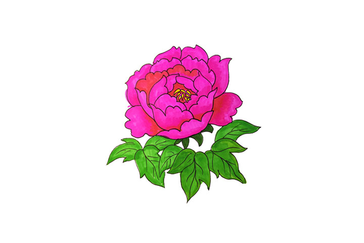 一组漂亮的花朵简笔画图片大全