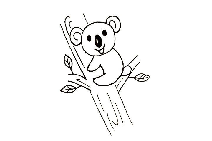 树袋熊简笔画画法步骤