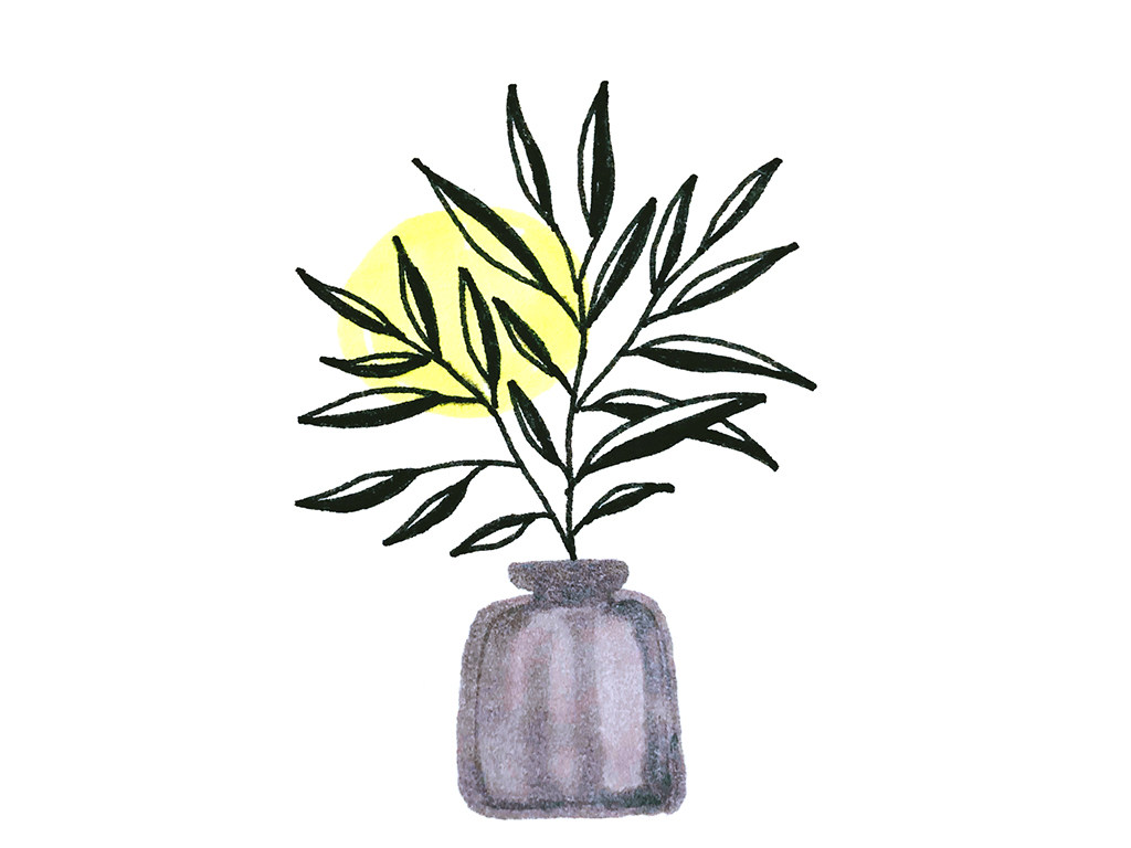 超简单花瓶插花简笔画