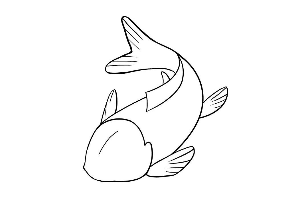 如何画锦鲤鱼简笔画