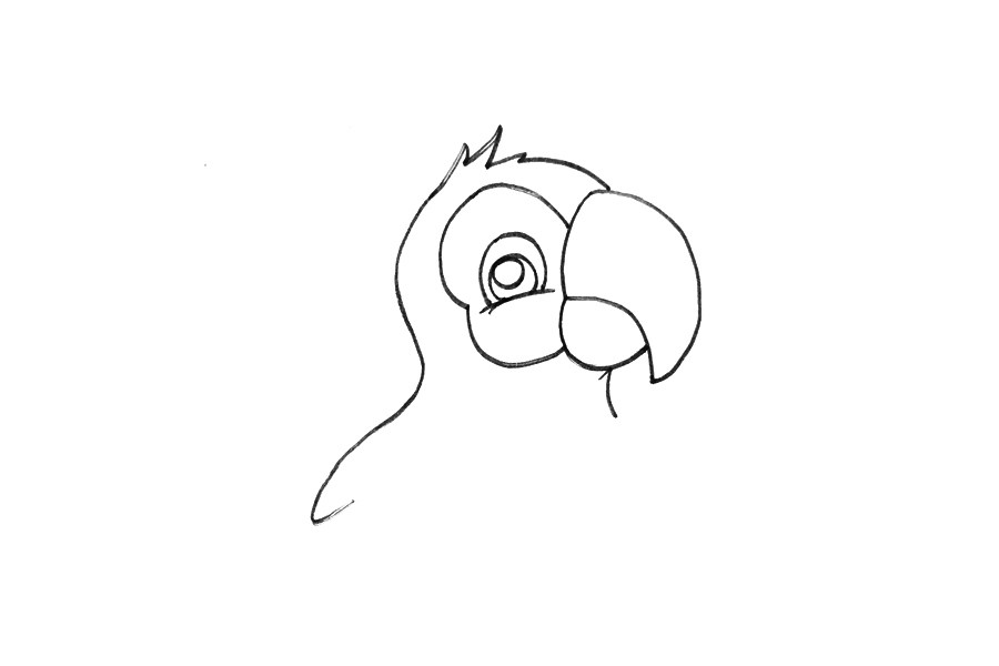 动物简笔画大全 鹦鹉简笔画怎么画