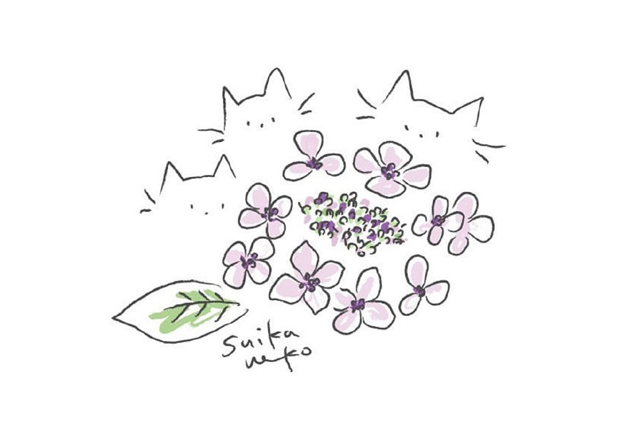 猫咪与花儿简笔画图片