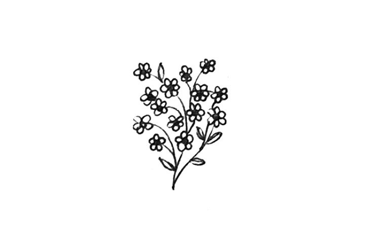 23种漂亮小花简笔画图片