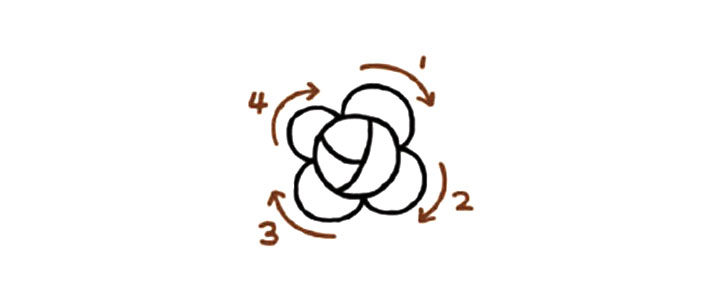 可爱小花玫瑰花简笔画教程