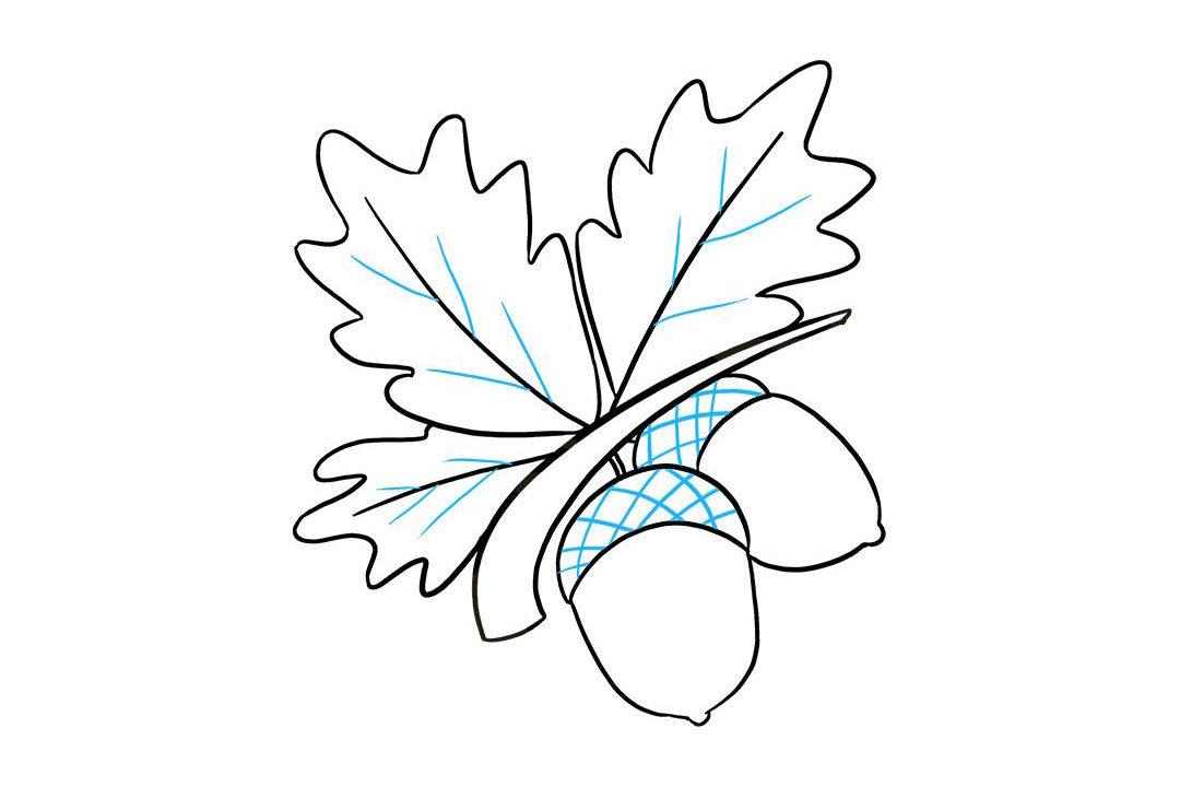 如何画橡子简笔画