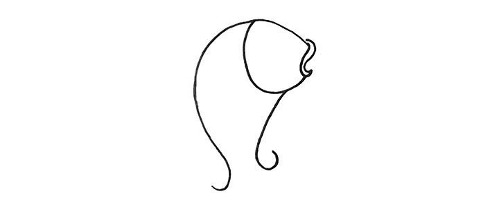 鲤鱼简笔画画法步骤