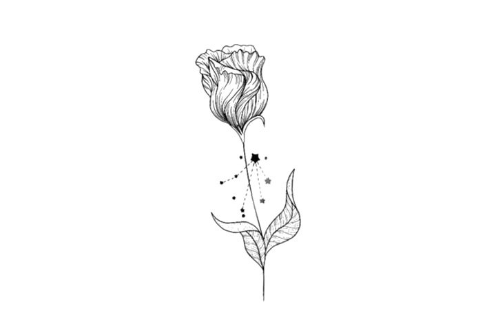 鲜花简笔画之十二星座与鲜花
