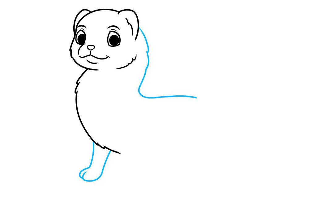 雪貂怎么画