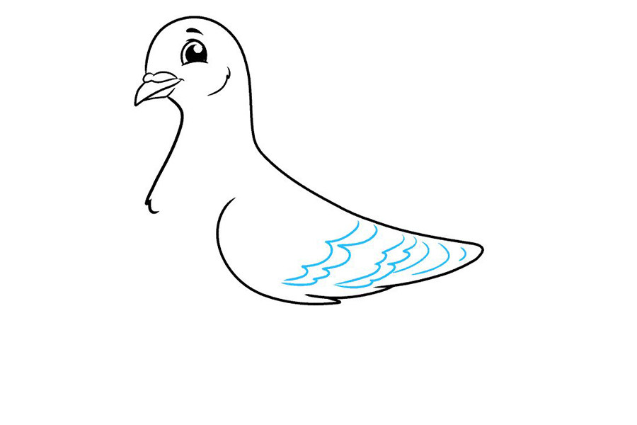 如何画鸽子