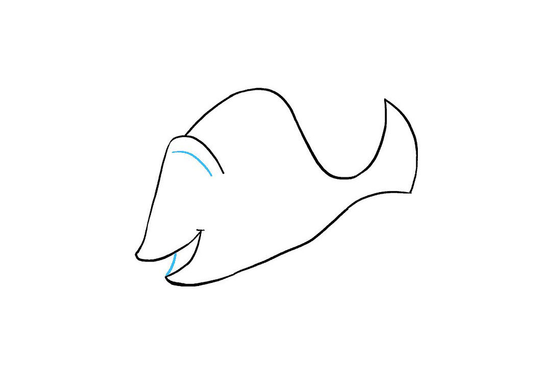 多莉怎么画