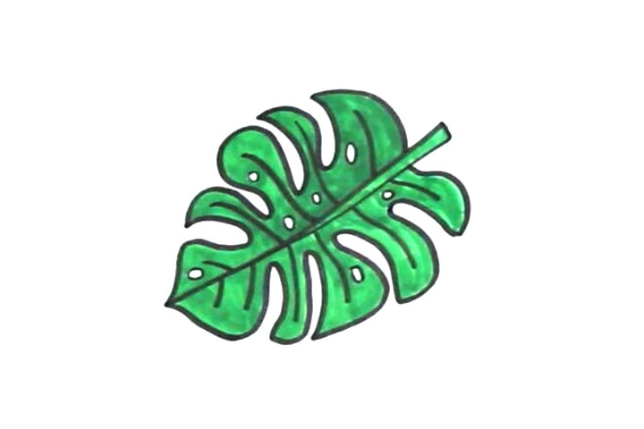 龟背竹叶子怎么画