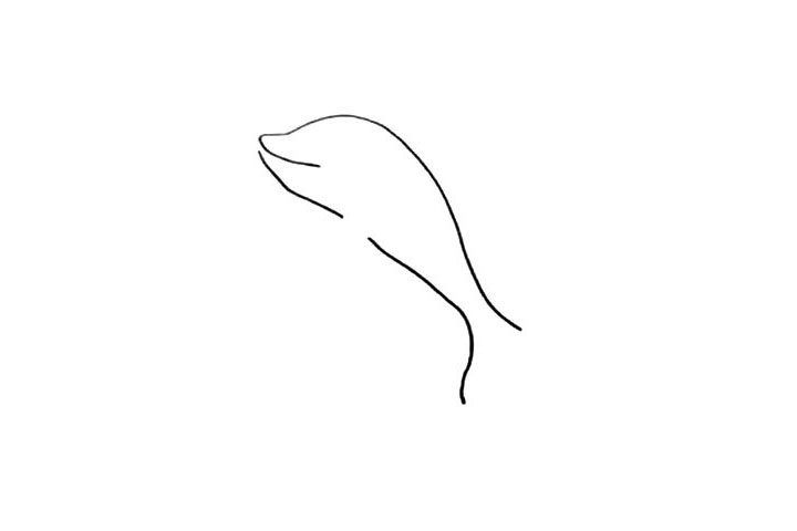 海豚简笔画怎么画