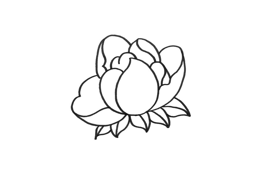 花朵简笔画大全 简笔画芍药的画法步骤