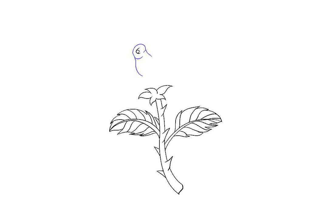 如何画一朵漂亮的玫瑰花