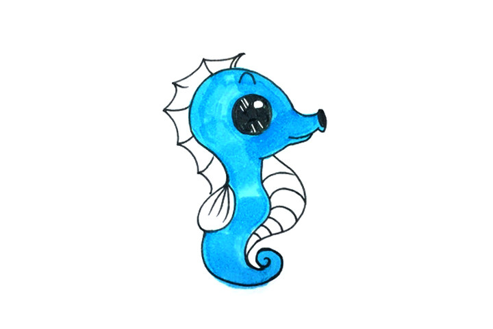 可爱海马怎么画 海马是什么
