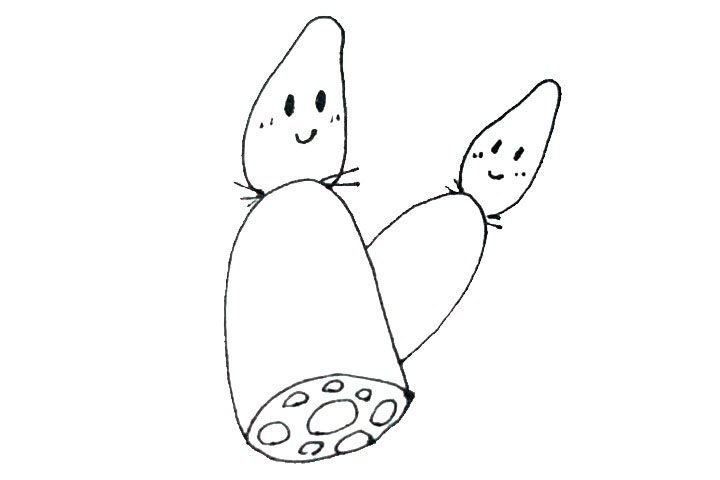 莲藕简笔画画法详解