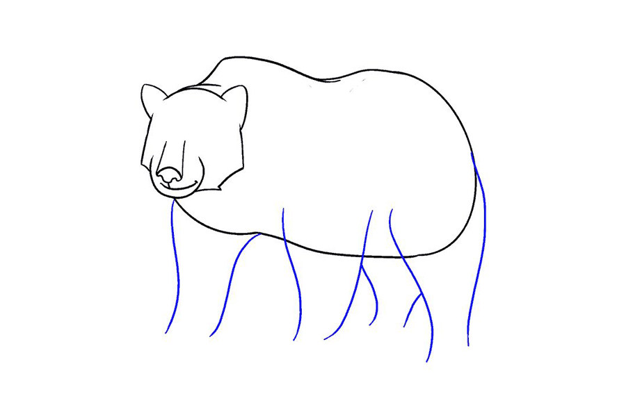 如何画棕熊