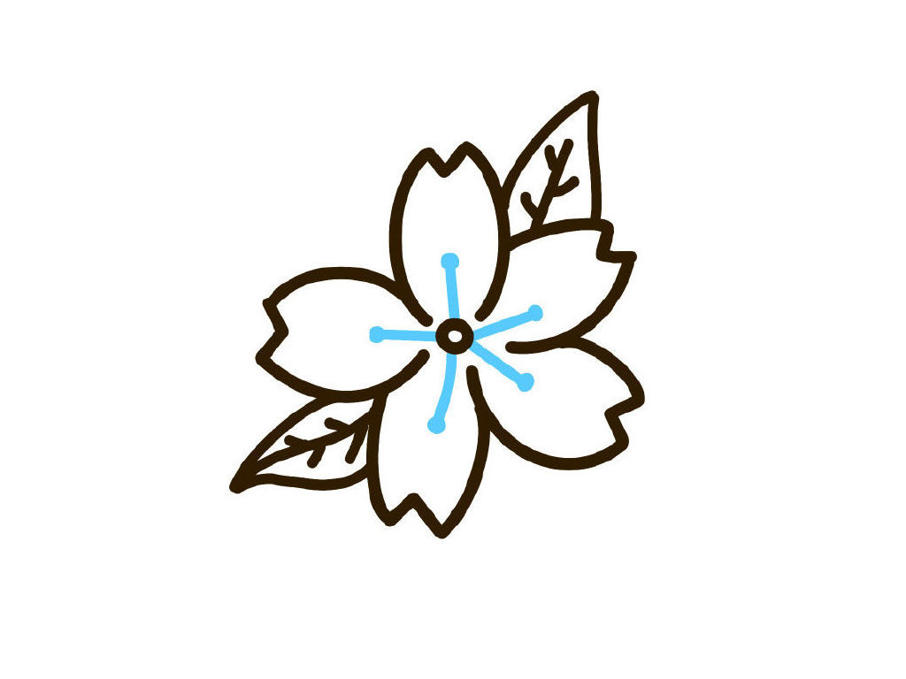 樱花简笔画教程